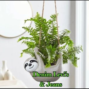 Denim Levi’s and jeans